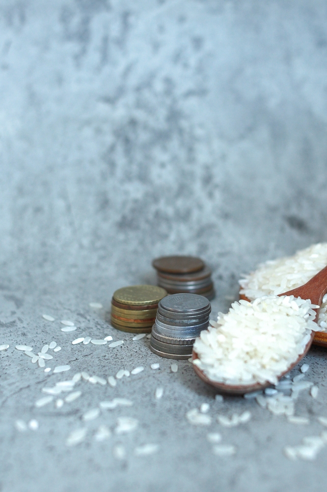 Rice,Grain,On,Wooden,Spoon,With,Stacked,Coins,On,Grey